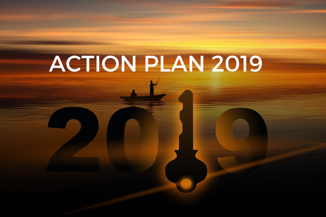 ACTION PLAN 2019 (2)